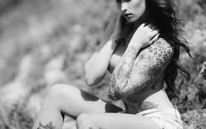 Avatar of Wildcat Ink