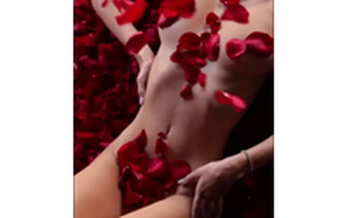 Avatar of Carolina Samani