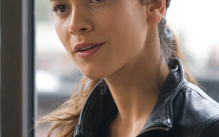 Avatar of Alice Braga