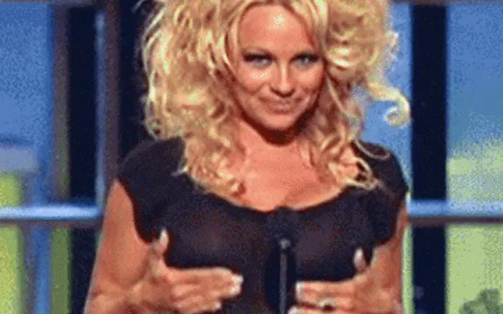 Avatar of Pamela Anderson