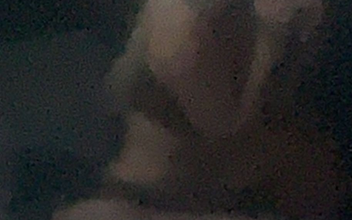 Avatar of SelaNeedsGeld