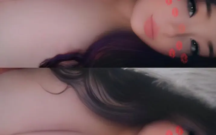 Avatar of sheisavey/ninjaxv_kitten