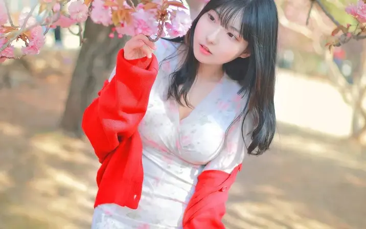 Avatar of Hansom 한솜 (@1cotton2nd)