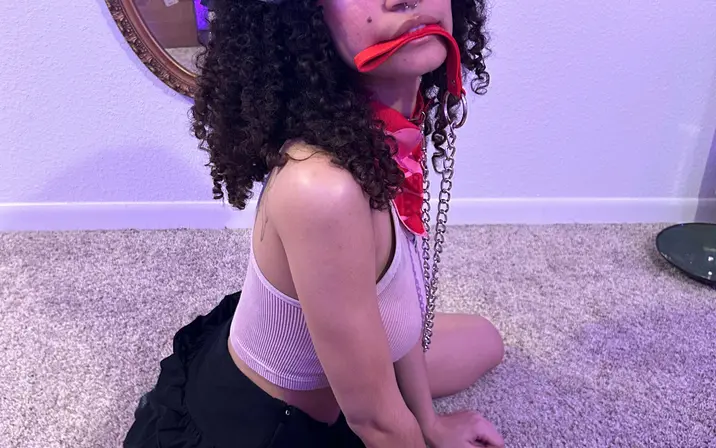 Avatar of angels-ivy | angelsIvy_