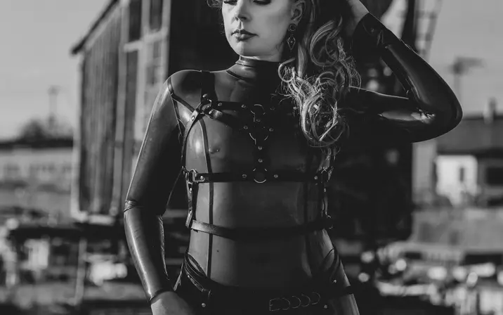 Avatar of Latex Fox  /  Latex_Fox  /  LatexFox