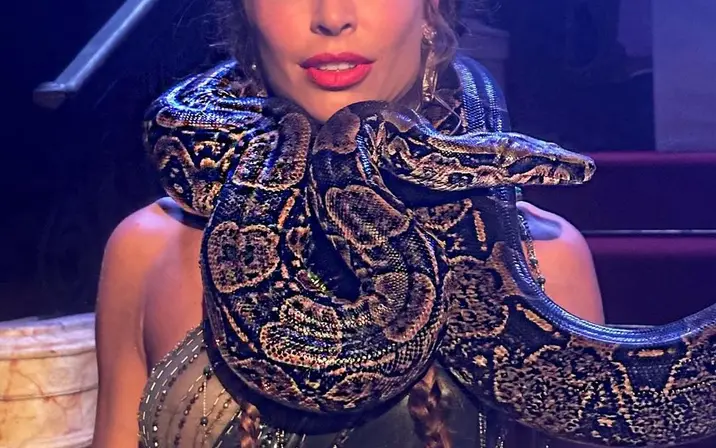 Avatar of Grazi Massafera