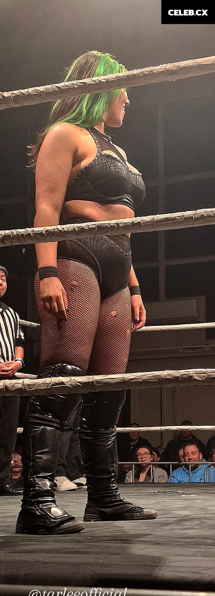 Women of Professional Wrestling Image 9861801