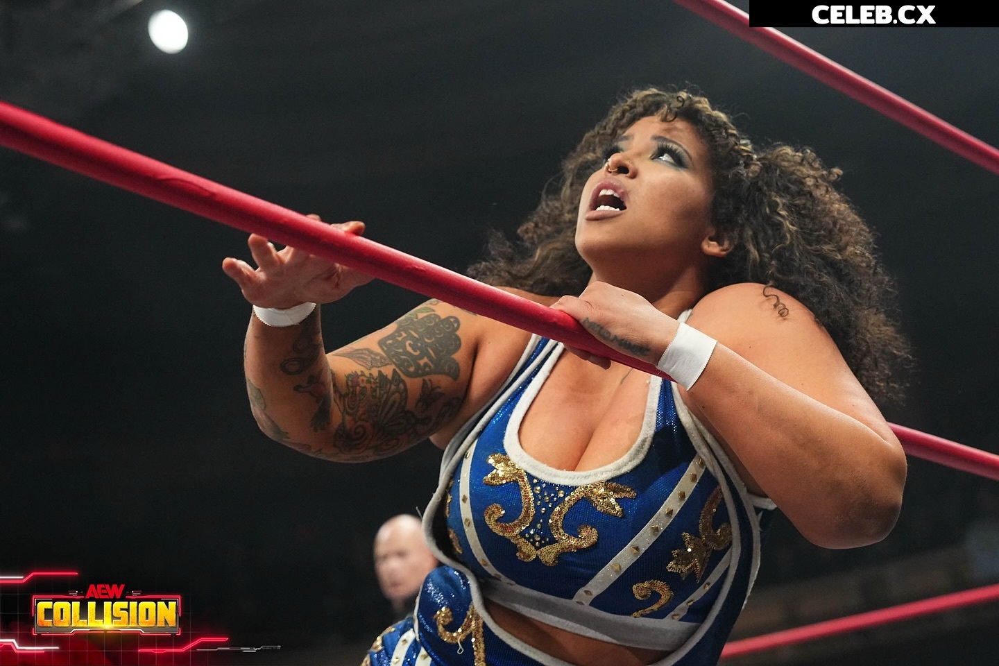 Women of Professional Wrestling Image 8144926