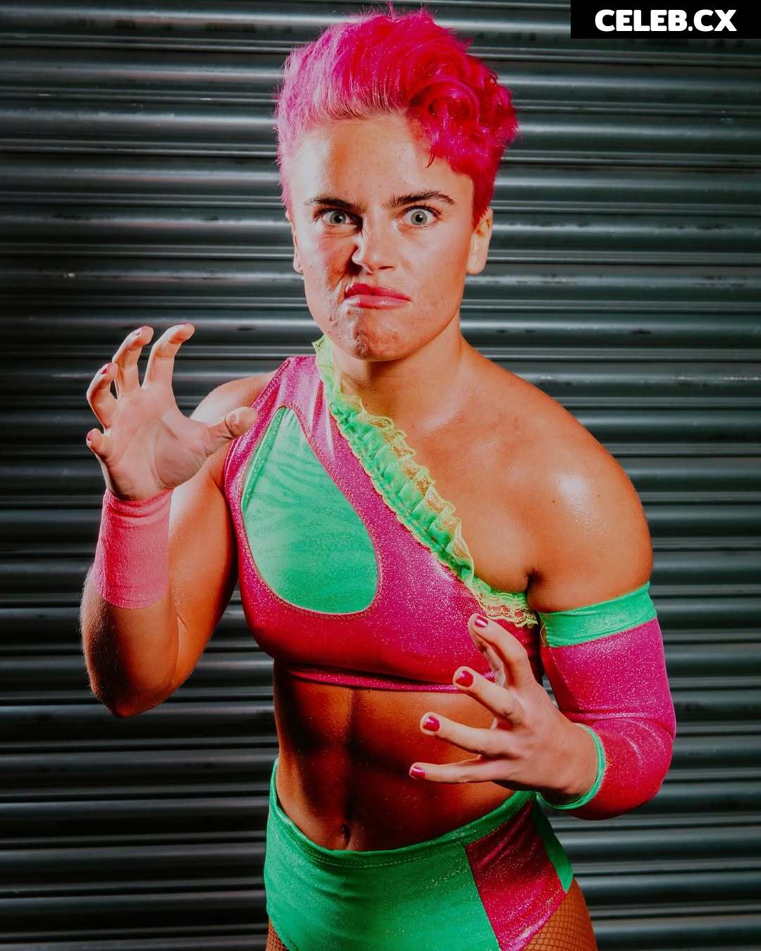 Women of Professional Wrestling Image 8149284