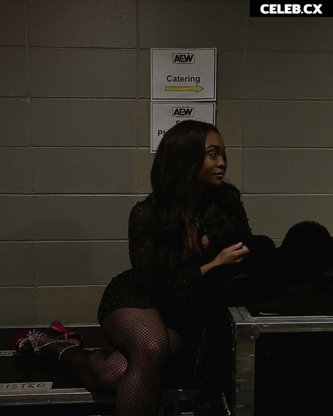 Women of Professional Wrestling Image 8127828