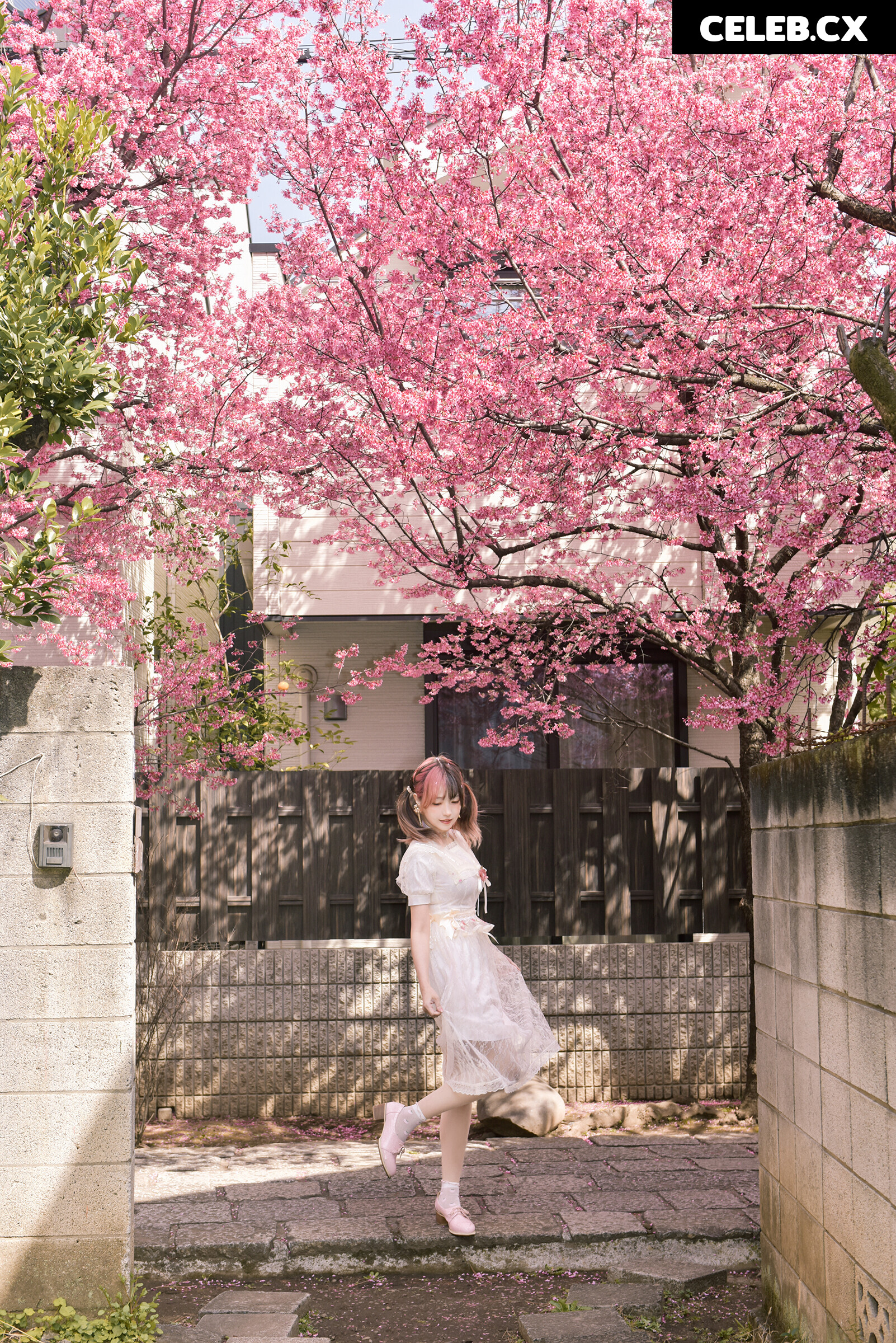 eeelyeee (Ely Cosplay) Image 8295008