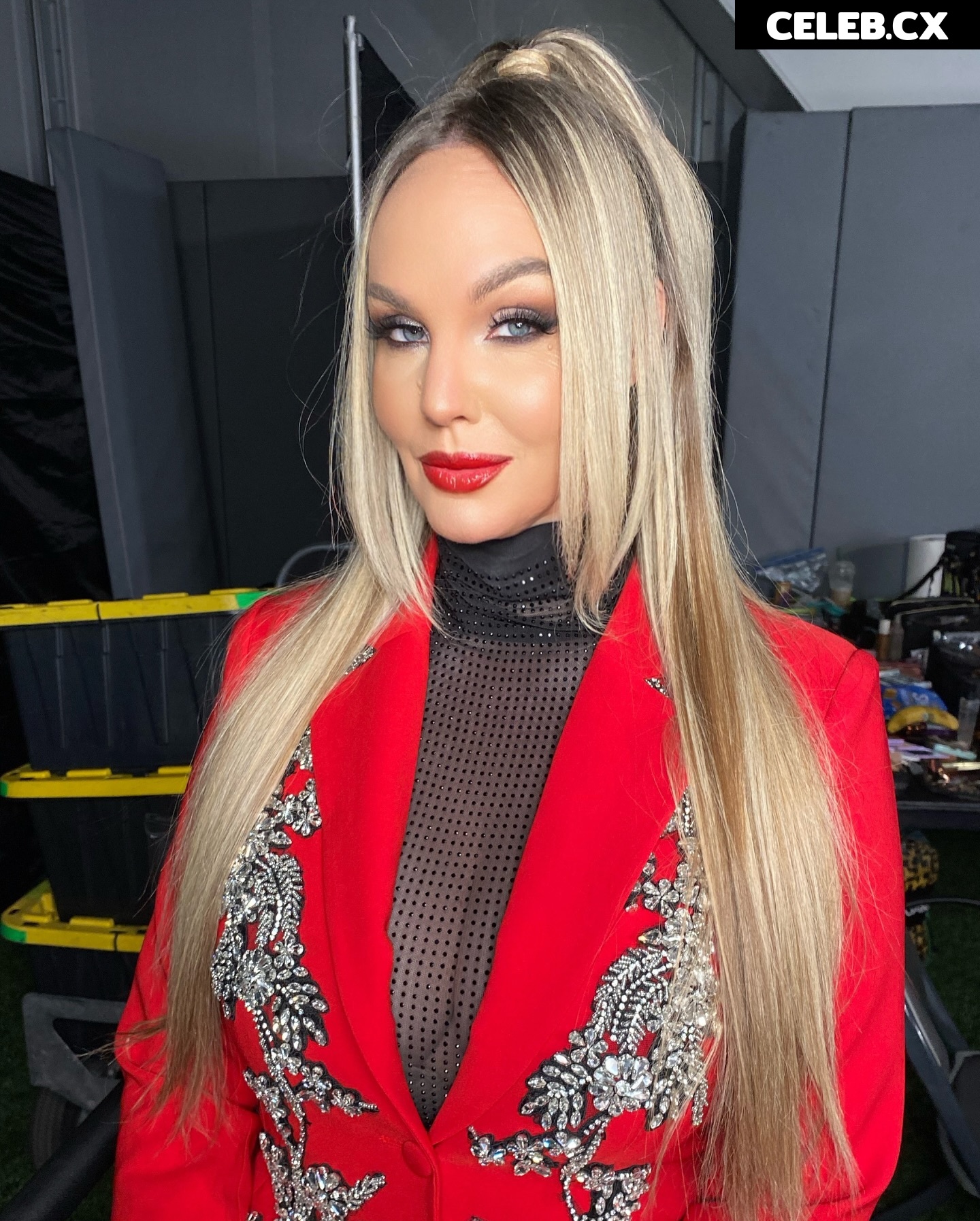 Women of Professional Wrestling Image 8247496