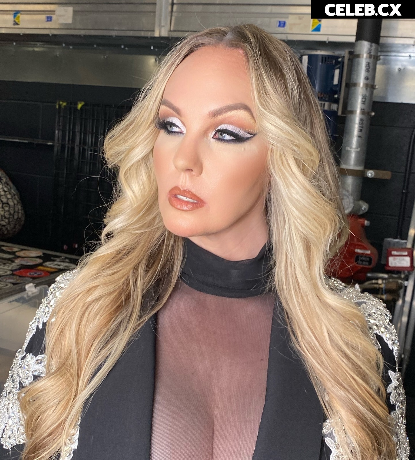 Women of Professional Wrestling Image 8247486