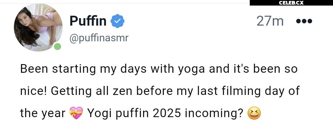 ASMR Puffin Image 8242801