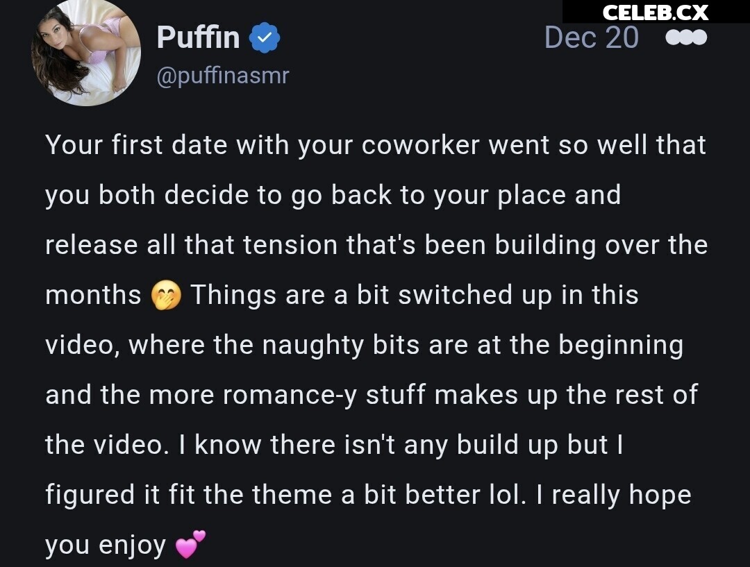 ASMR Puffin Image 8242806