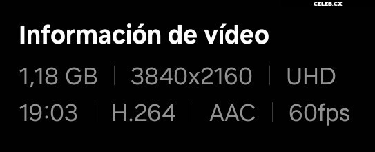 ASMR Puffin Image 8242589