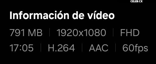 ASMR Puffin Image 8242579