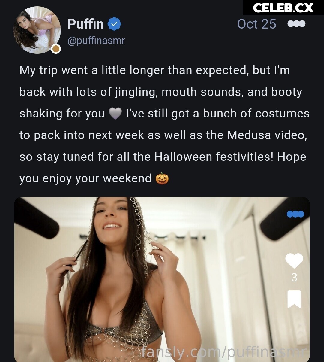 ASMR Puffin Image 8242577