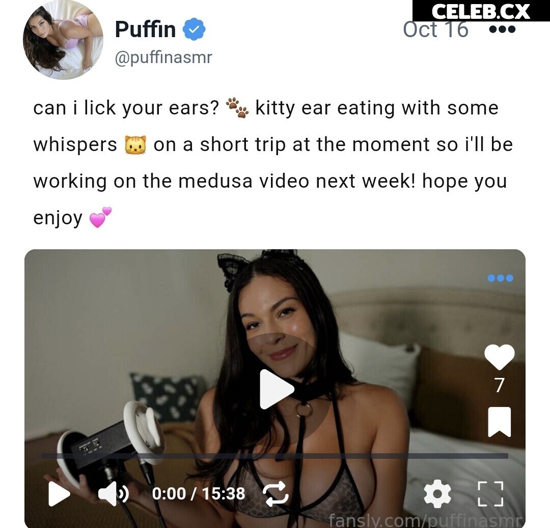 ASMR Puffin Image 8242565