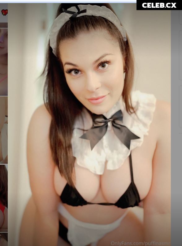 ASMR Puffin Image 8242401