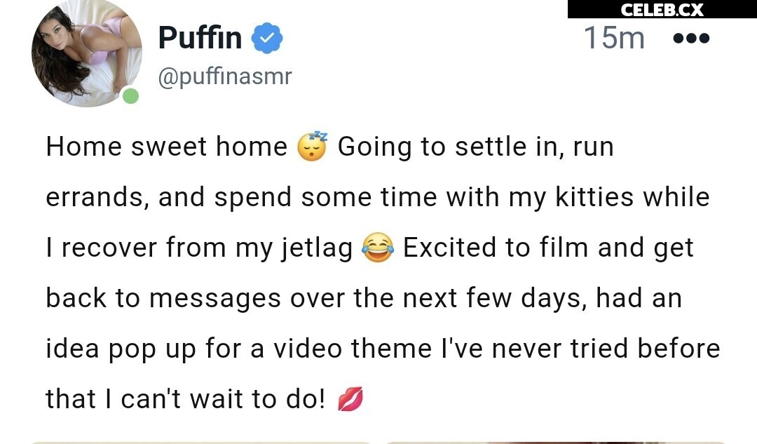 ASMR Puffin Image 8242780