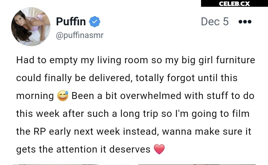 ASMR Puffin Image 8242783