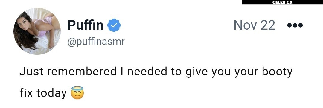 ASMR Puffin Image 8242770