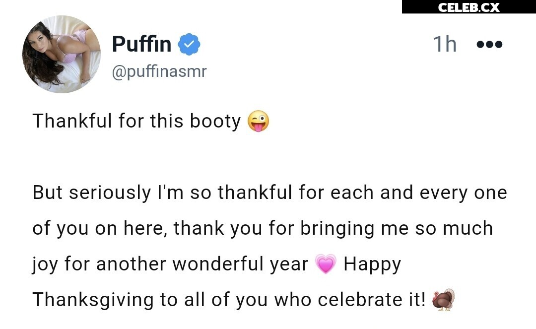 ASMR Puffin Image 8242777