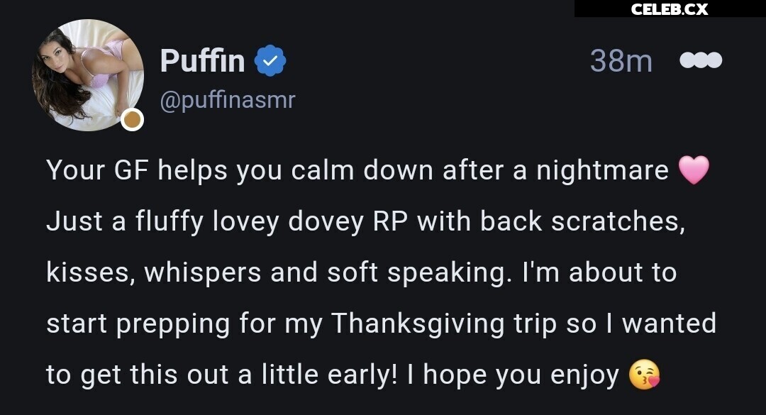 ASMR Puffin Image 8242768
