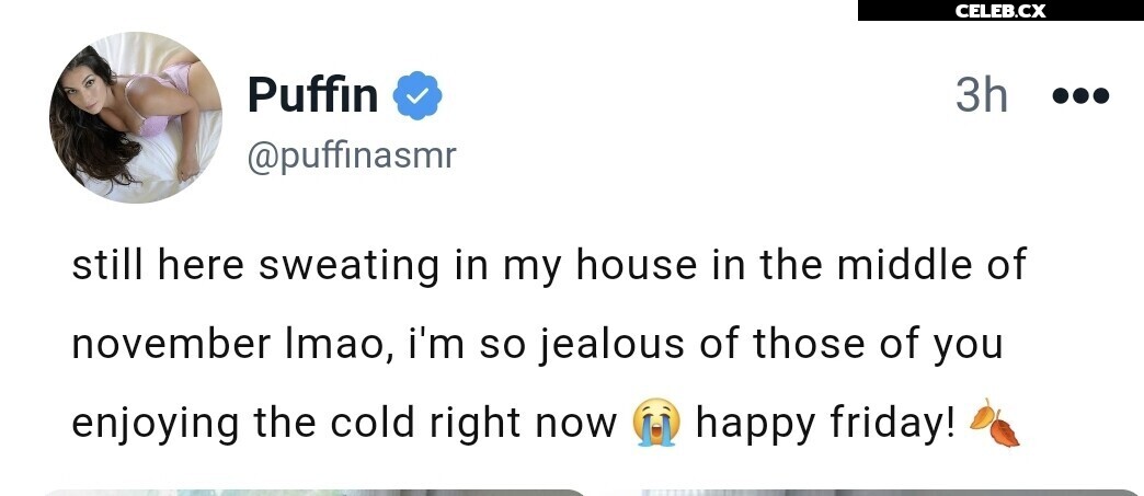 ASMR Puffin Image 8242760