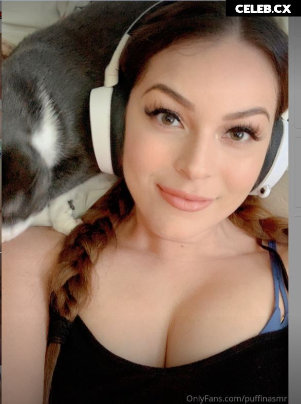 ASMR Puffin Image 8242395