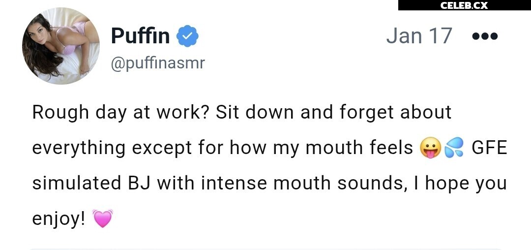 ASMR Puffin Image 8242951