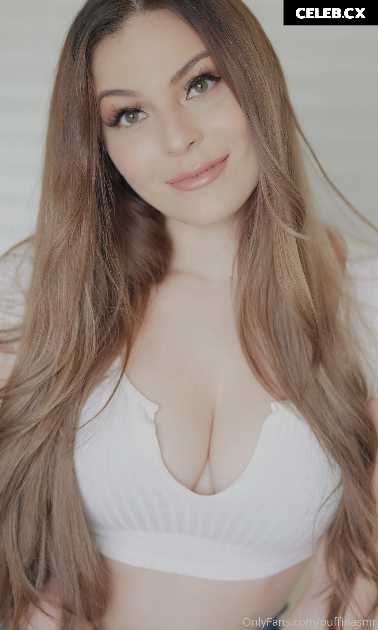 ASMR Puffin Image 8235979