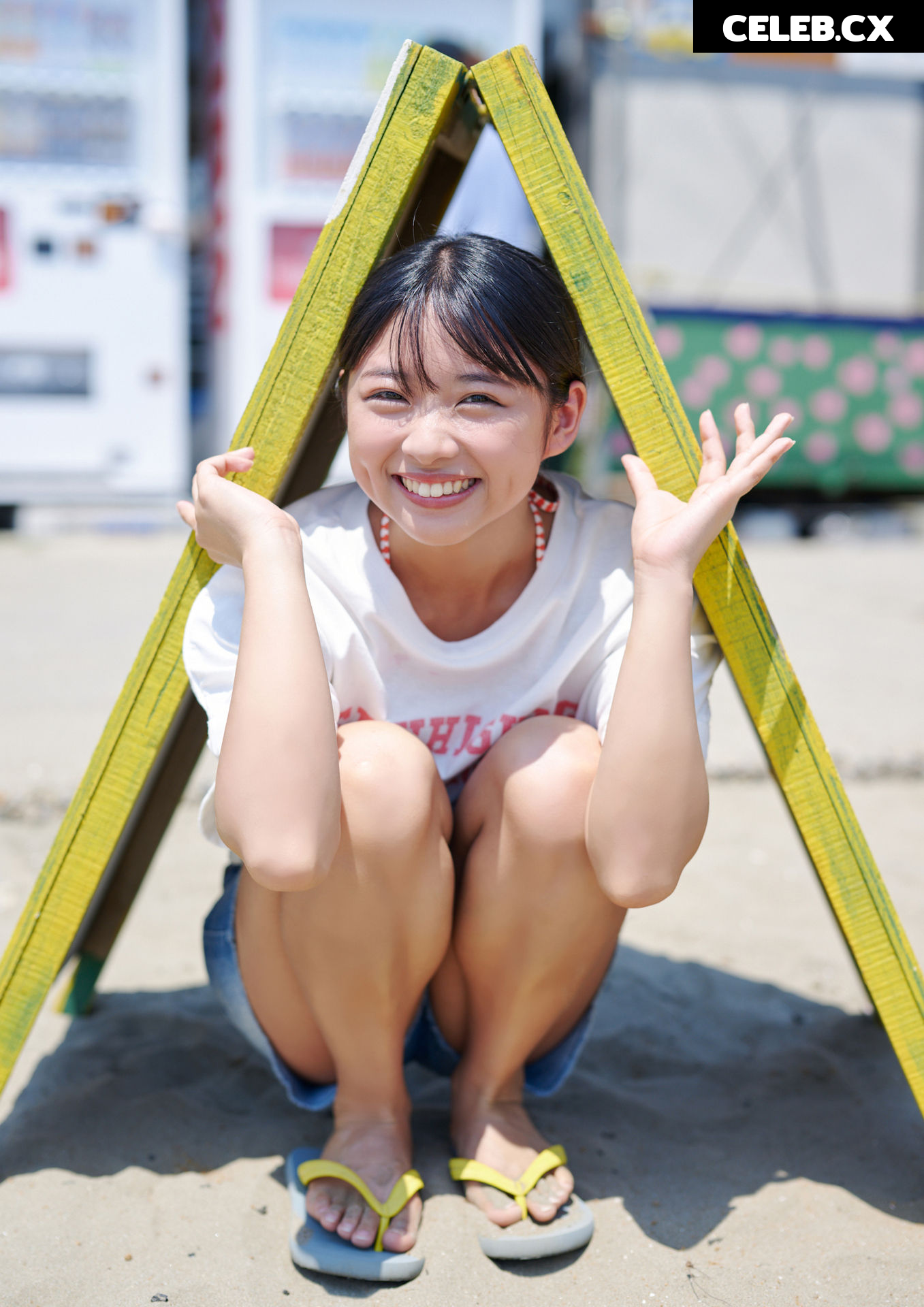 Miku Kuwajima Image 8348342