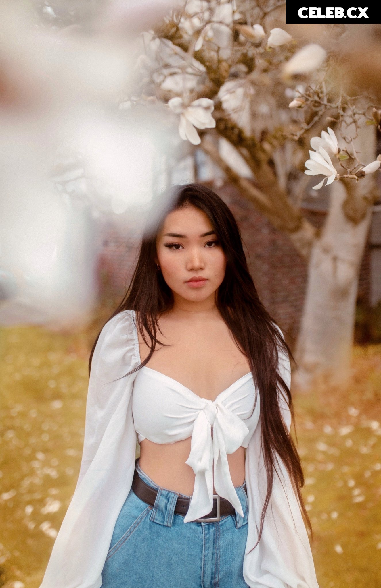 michellejzhou/rainbobatea Image 8323035