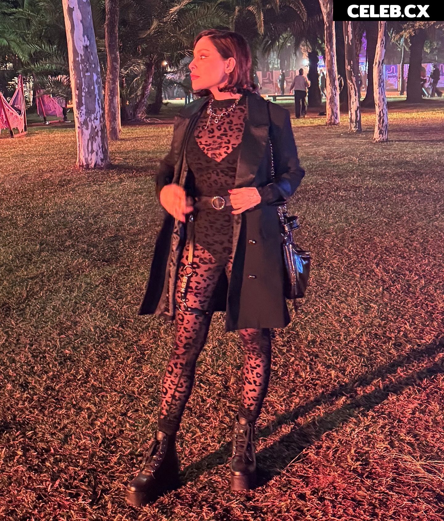 Pitty Image 8852845