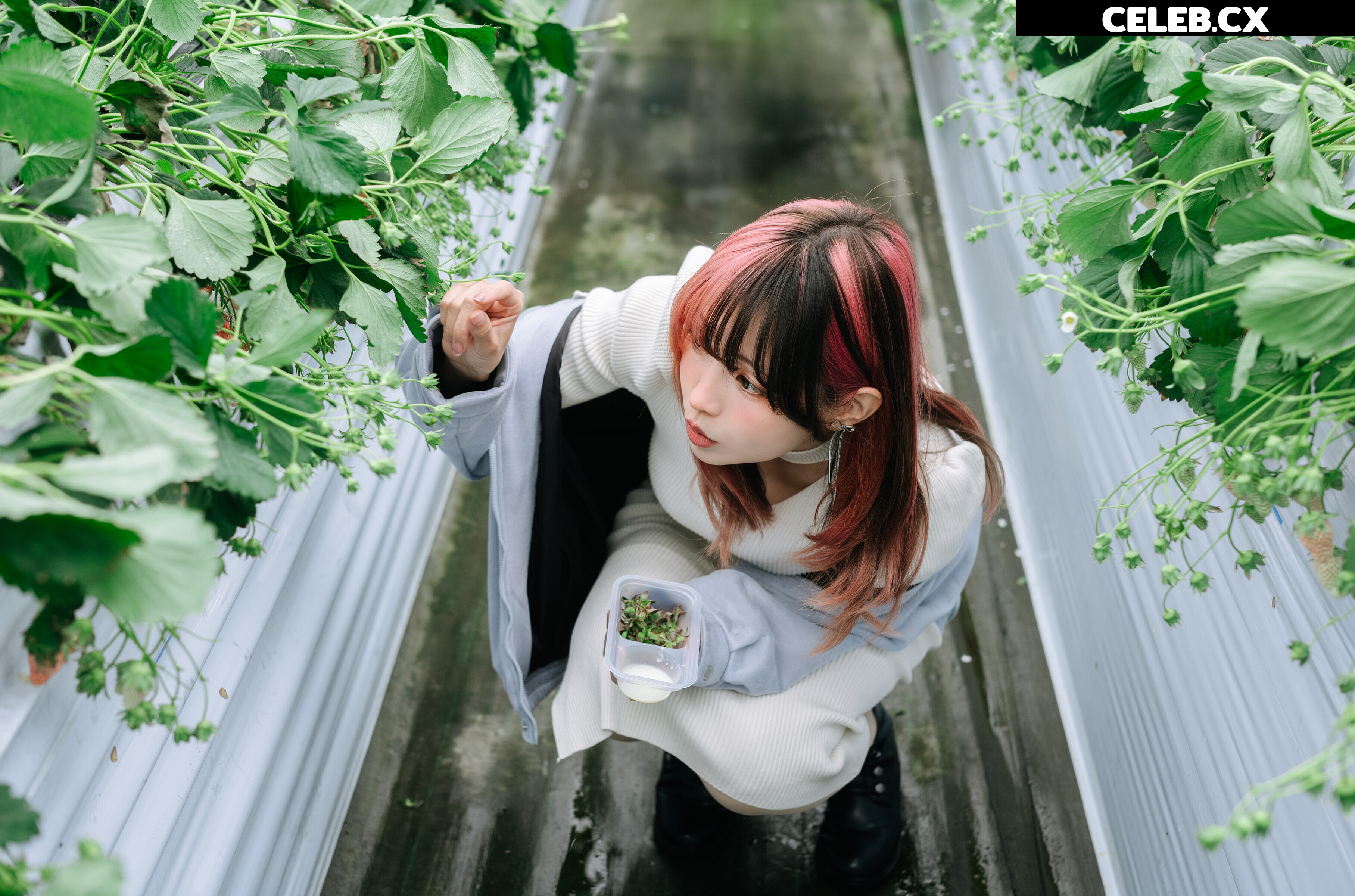 eeelyeee (Ely Cosplay) Image 8456706