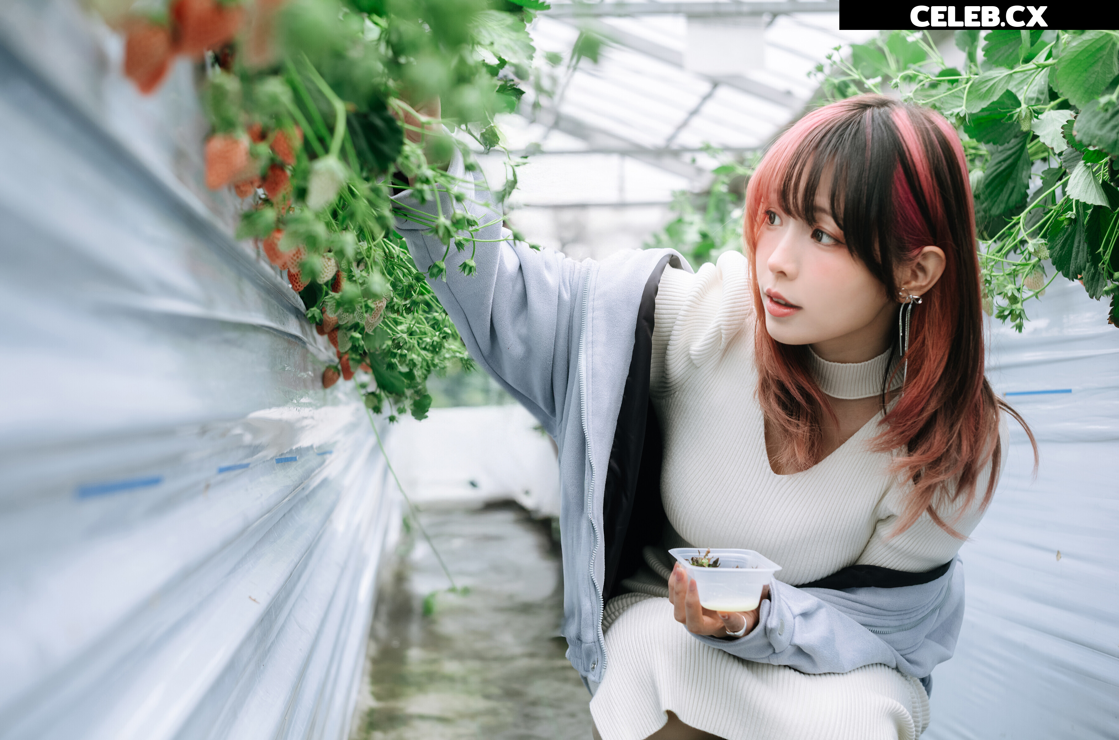 eeelyeee (Ely Cosplay) Image 8456705