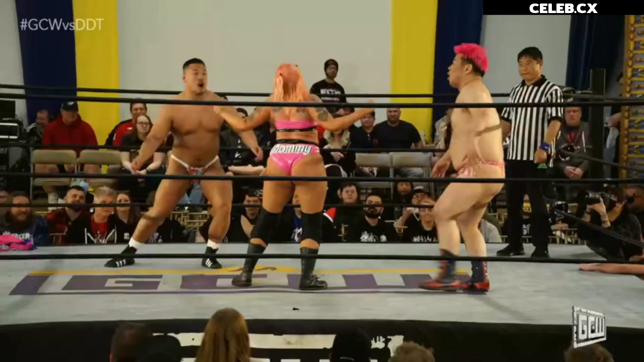 Women of Professional Wrestling Image 8456182
