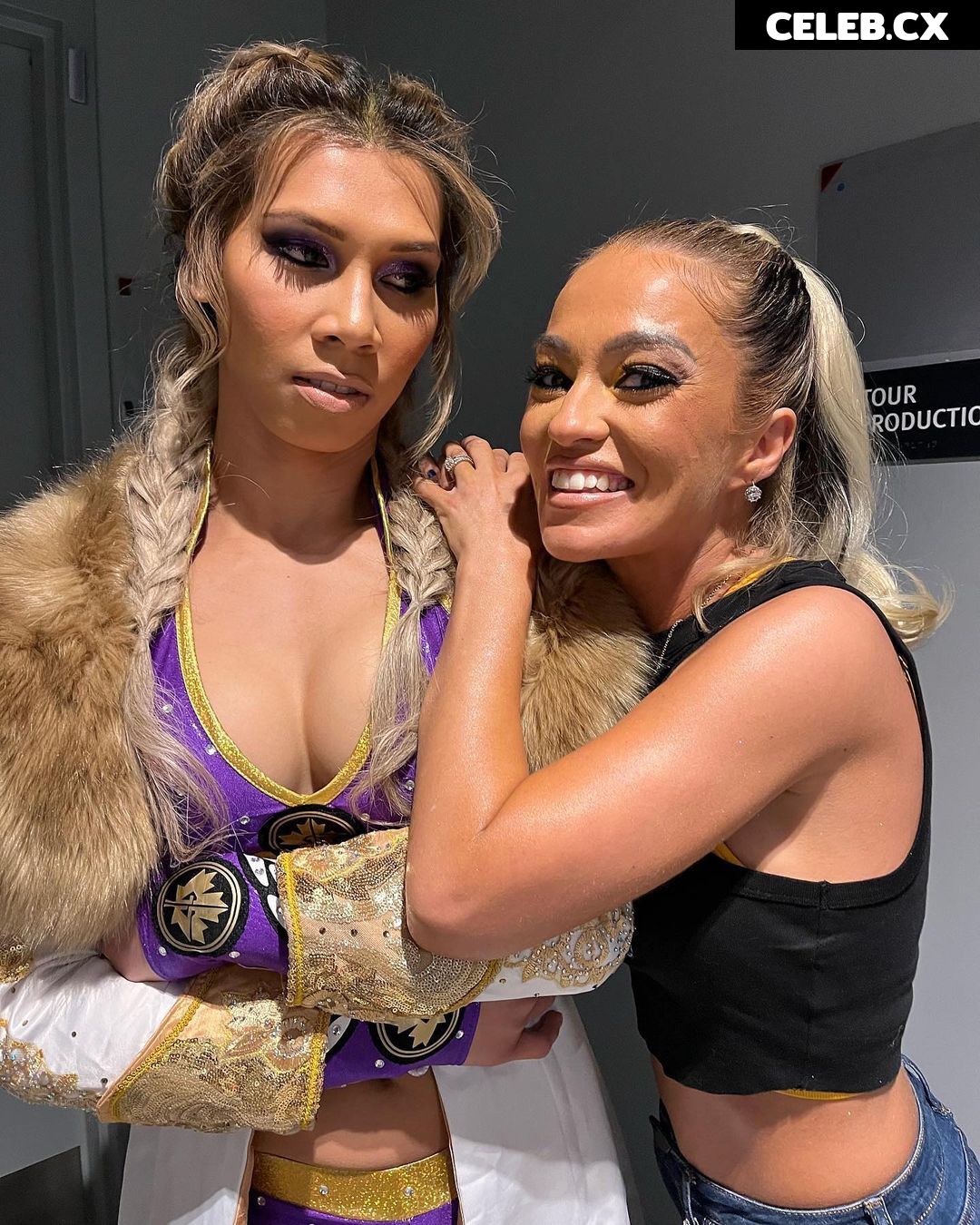 Women of Professional Wrestling Image 8434571