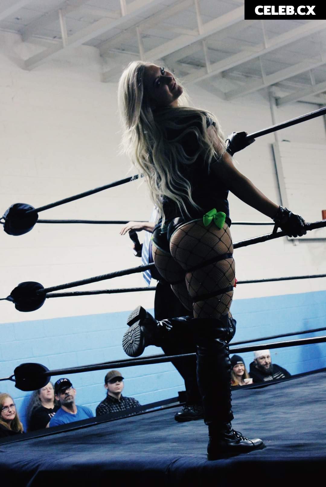 Women of Professional Wrestling Image 8434978