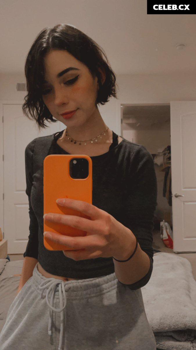 Shubble Image 8426786