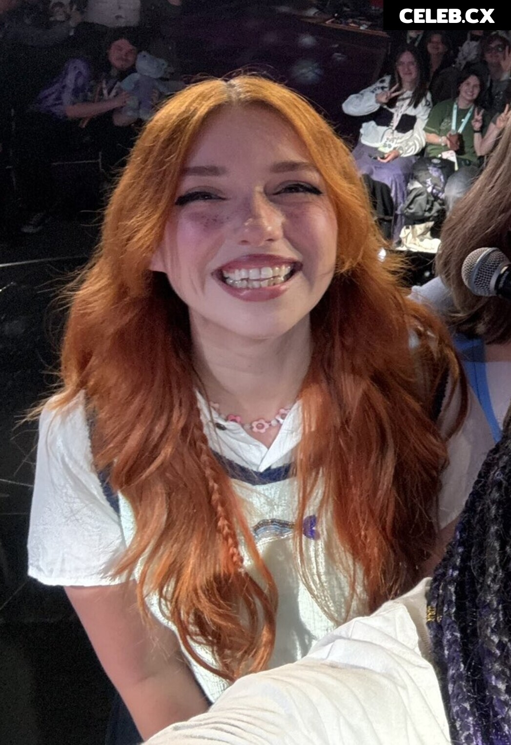 Shubble Image 8785554