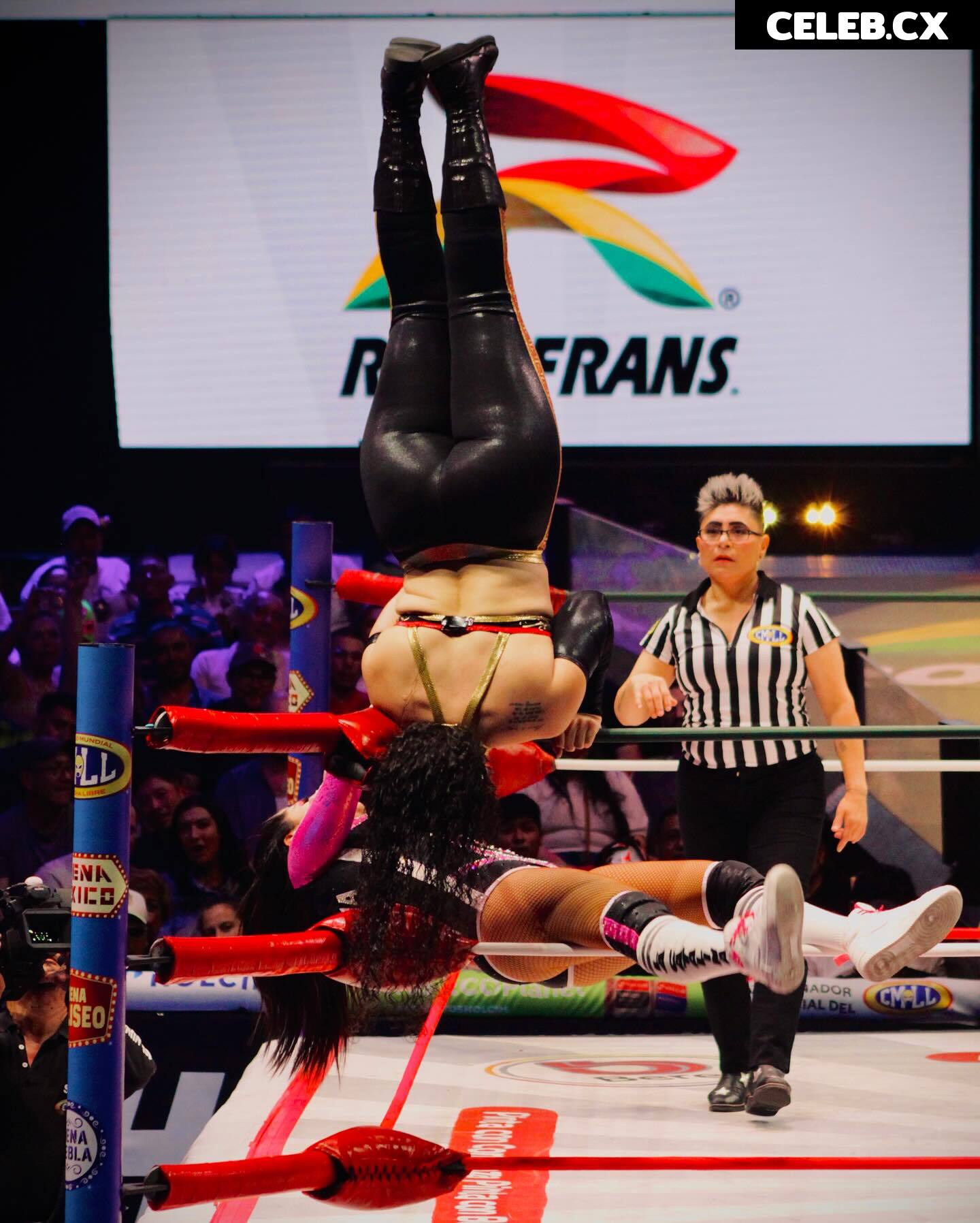 Women of Professional Wrestling Image 8786589
