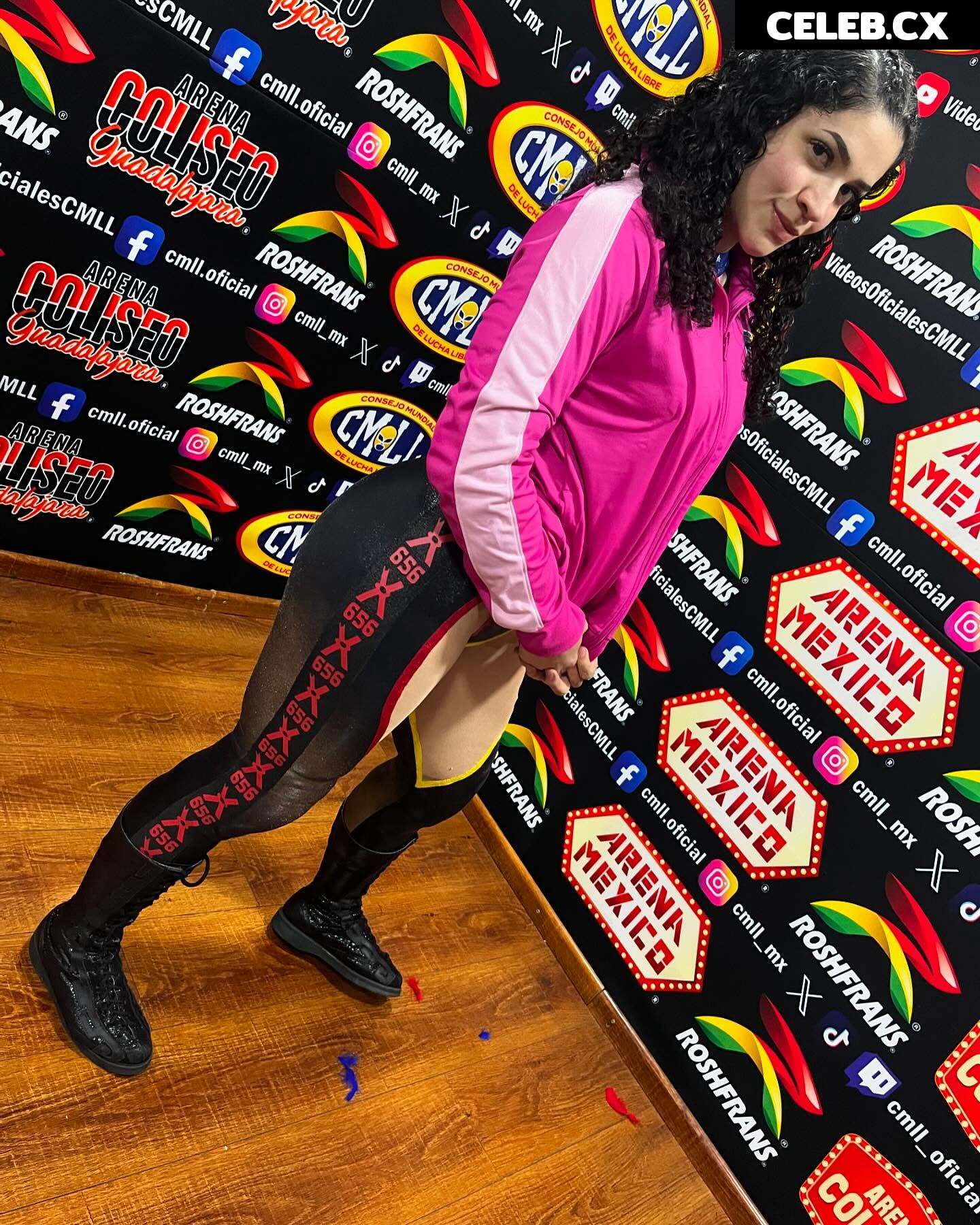 Women of Professional Wrestling Image 8786580