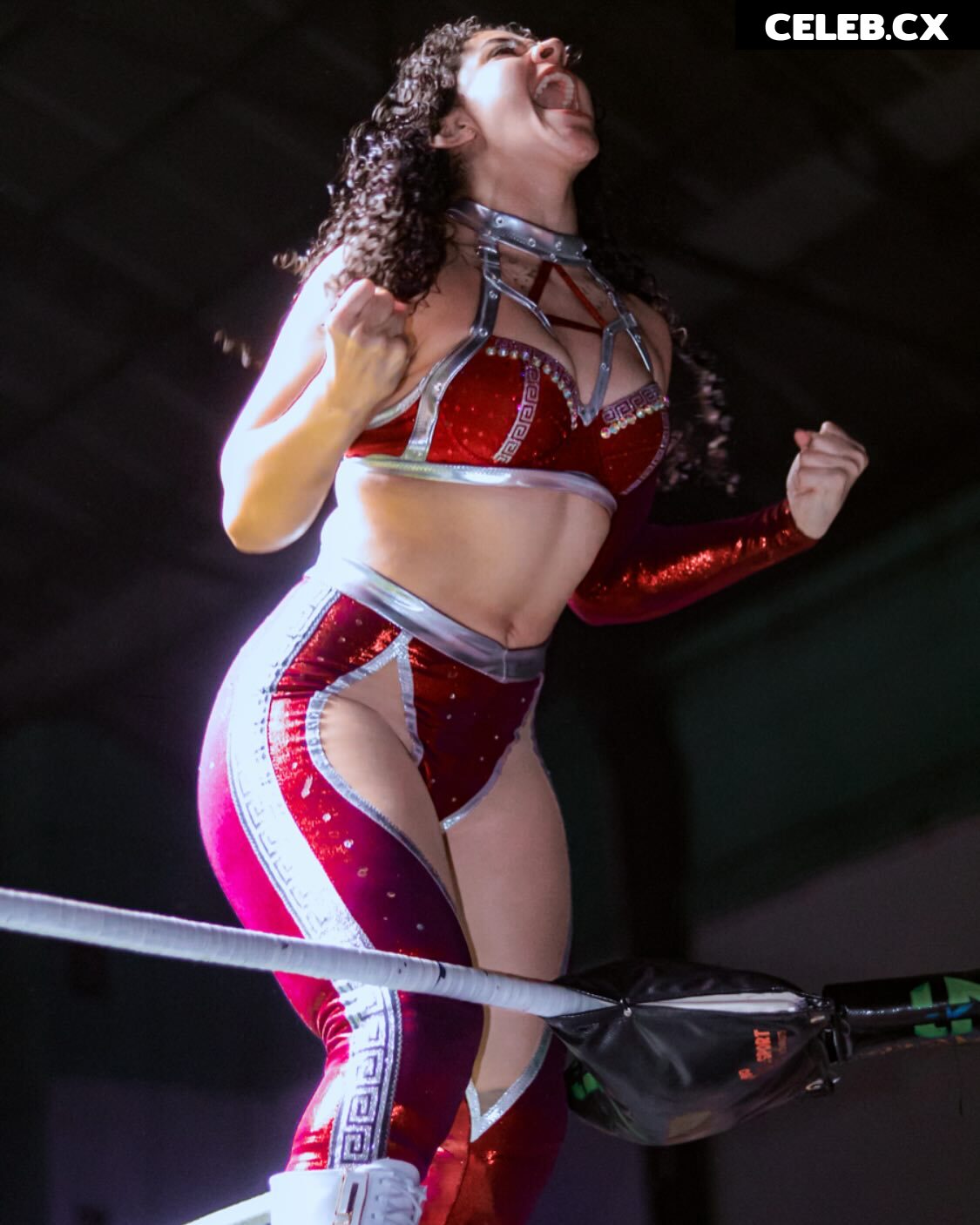 Women of Professional Wrestling Image 8786586