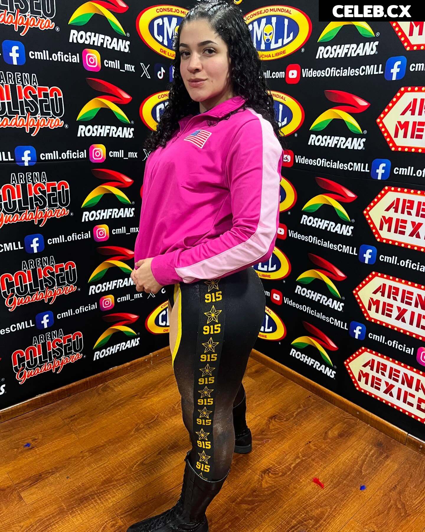 Women of Professional Wrestling Image 8786579