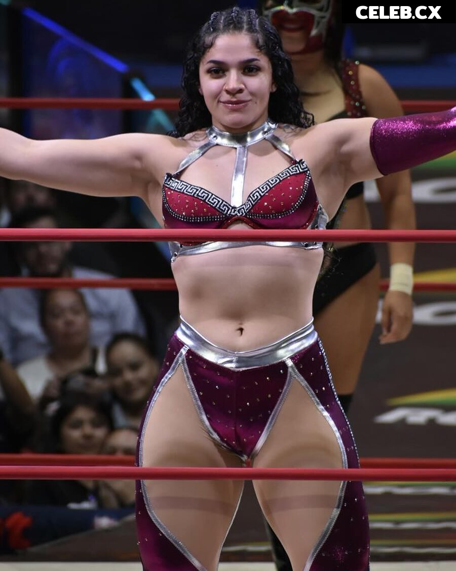 Women of Professional Wrestling Image 8786575