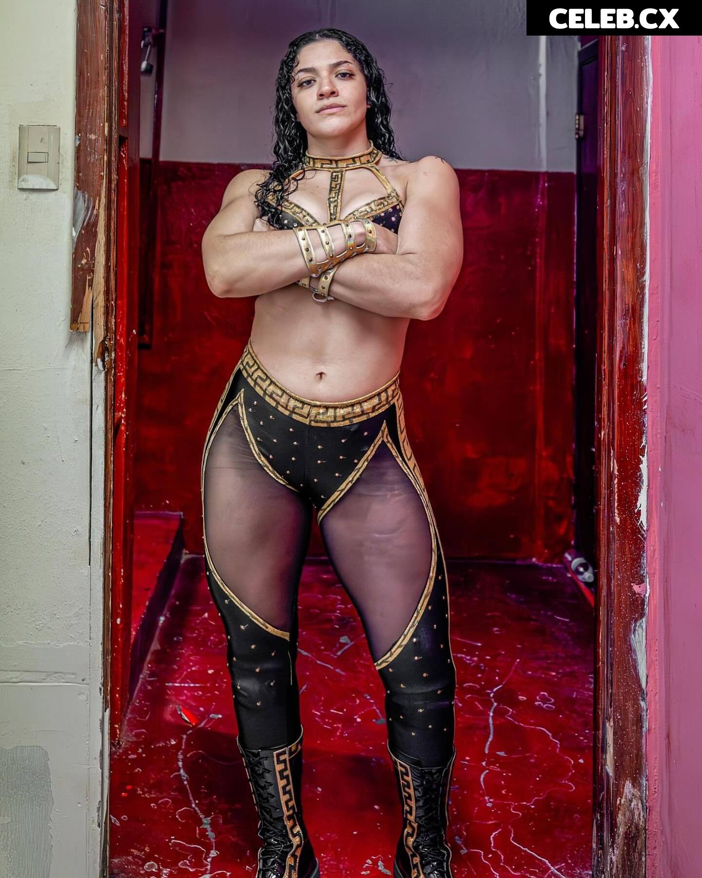 Women of Professional Wrestling Image 8786566