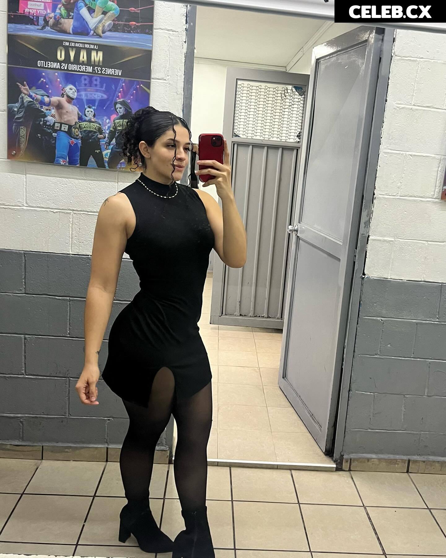 Women of Professional Wrestling Image 8786567